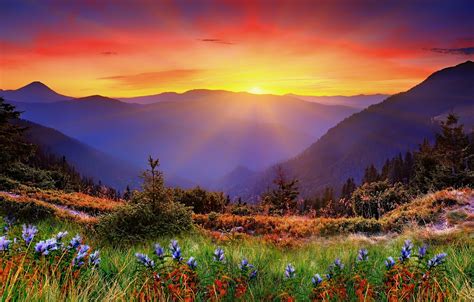 Wallpaper Grass Sunset Mountains Dawn Images For Desktop Section