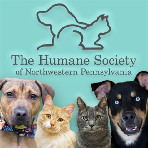Our Facility The Humane Society Of Northwest Pennsylvania