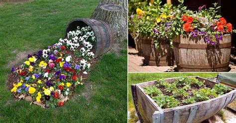17 Best Diy Wine Barrel Planter Ideas Balcony Garden Web