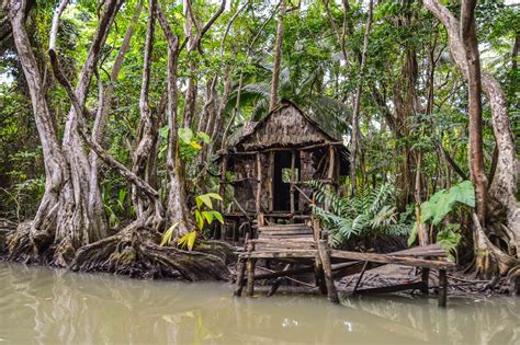 Um freie plätze zu suchen und ihren flug dominica – insel long zu. Dominica in der Karibik - Das zauberhafte Inselparadies ...