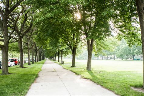 Hyde park is not what it seems. Neighborhood Guide: A Day in Hyde Park Chicago