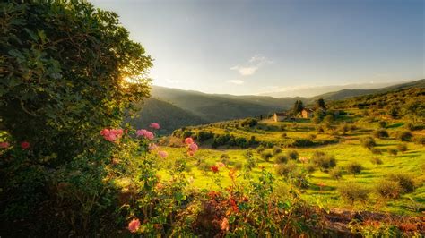 Tuscan Countryside Holidays Topflight Tuscany