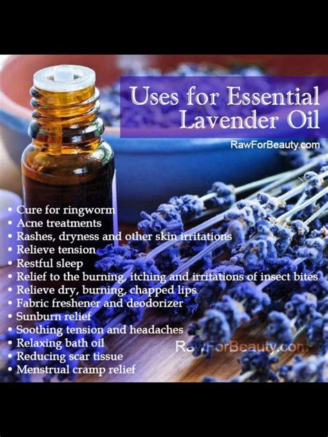 Lavender Lavender Oil Uses Lavender Essential Oil Lavender Oil