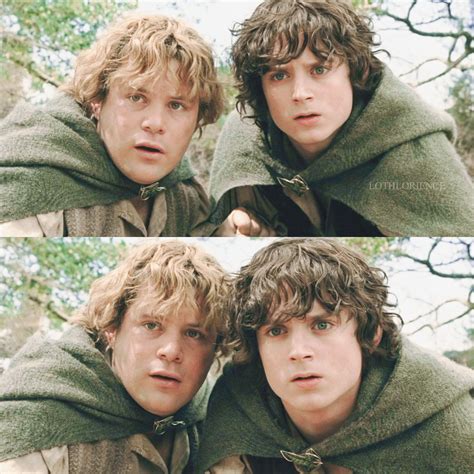 I Strive To Have A Friendship As Strong And Pure As Frodo And Sams