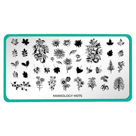 Maniology Stamping Plate Fall Layers Harvest Blooms M075 Beyond