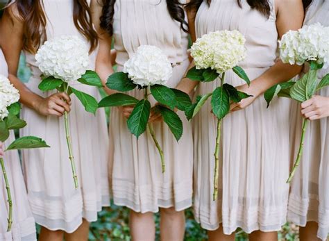 Maybe you would like to learn more about one of these? Single hydrangea bloom | Hydrangea bridesmaid bouquet ...