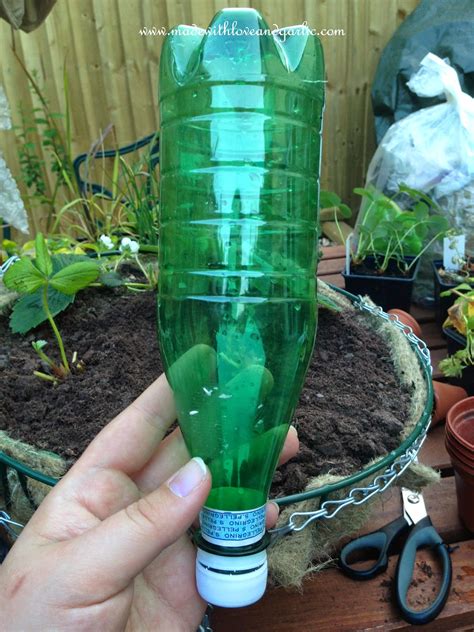 Diy Watering System Drip Feed From Soda Bottles