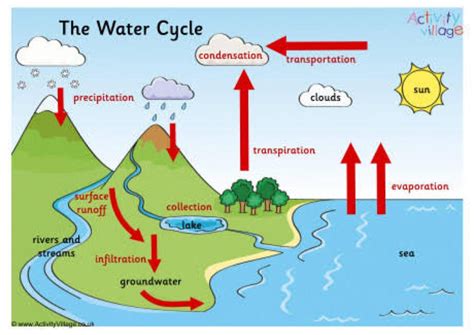 Water Cycle Diagram With Explanation Class Design Talk