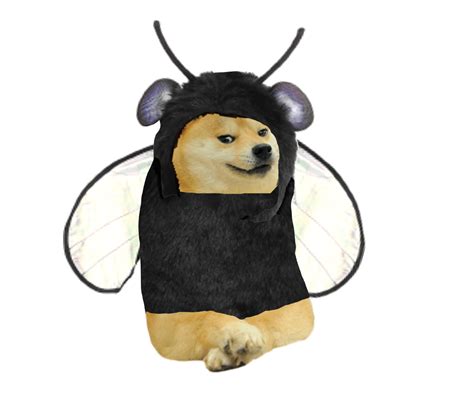 Fly Doge Templates Rdogelore