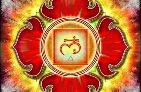 Kundalini Rising Part 1 The Root Chakra Fractal Enlightenment