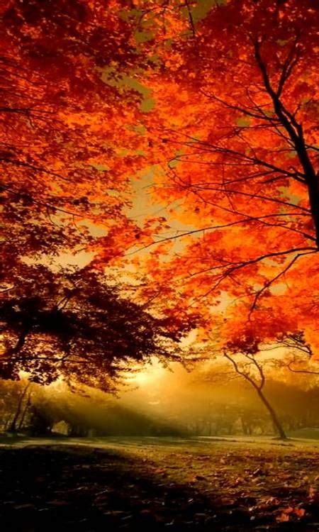 Autumn Morning Landscape Wallpapers Details Autumn Scenery