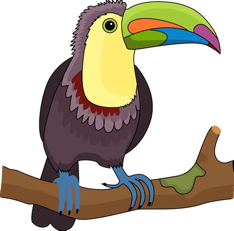 Parrot Clipart Toucan Toucan Clipart Transparent Cartoon Free Images