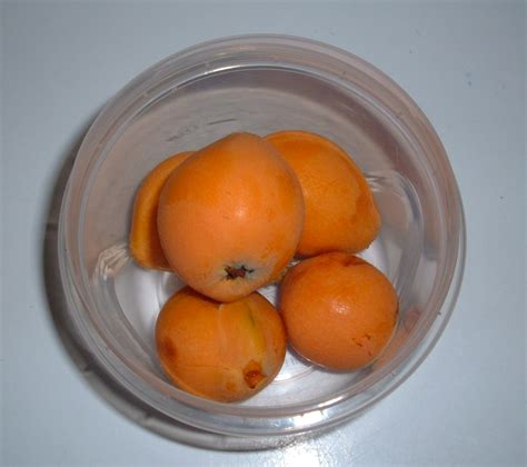 Loquat Foraging Grocery Coupon Guide