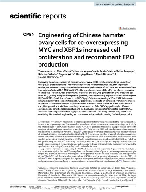 Pdf Engineering Of Chinese Hamster Ovary Cells For Co Overexpressing