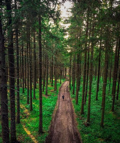 🇩🇪 Hiking On The Trail Black Forest Germany By Callum Snape