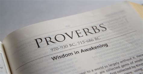 Proverbs Bible Book Chapters And Summary New International Version