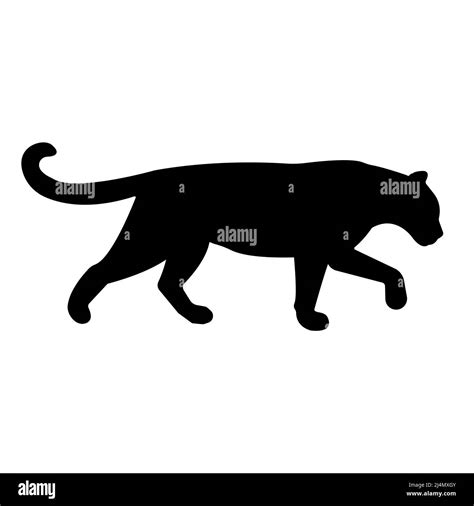 Vector Leopard Silhouette Isolated On White Background Stock Vector