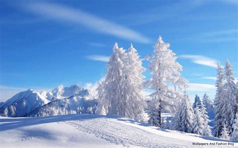 Winter Scenes For Wallpapers Free Wallpaper Cave