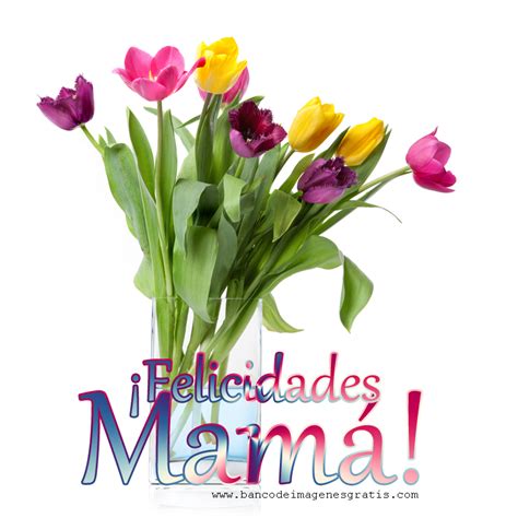 Banco De ImÁgenes Gratis Día De Las Madres En Panamá 8 De Diciembre