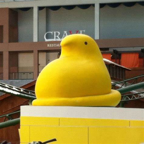 Giant Peep At Mall Of America Mall Of America Rubber Duck Peeps