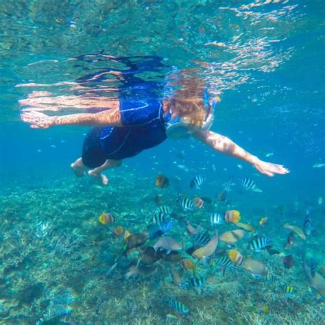 Costa Maya Snorkeling In The Reef Book Costa Maya Shore Excursions