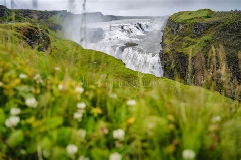 Gullfoss Also Known As Golden Falls Waterfall And Green Foloage In