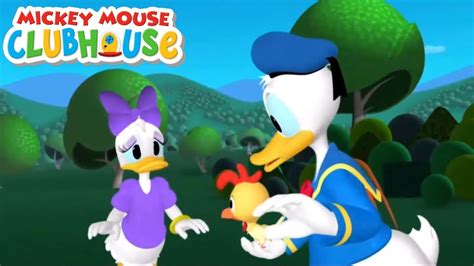 Mickey Mouse Clubhouse S02e07 Daisys Pet Project Disney Junior Youtube