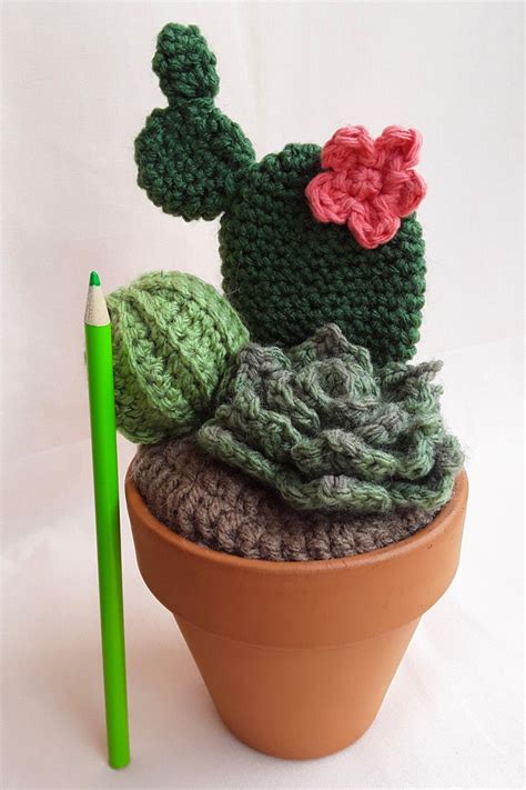 Crochet Flat Cactus Garden Crochet Cactus In A Pot Mini Etsy