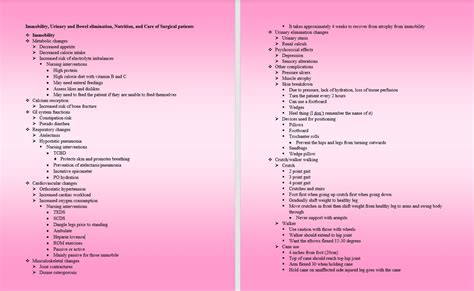 Fundamentals Of Nursing Study Guide Etsy