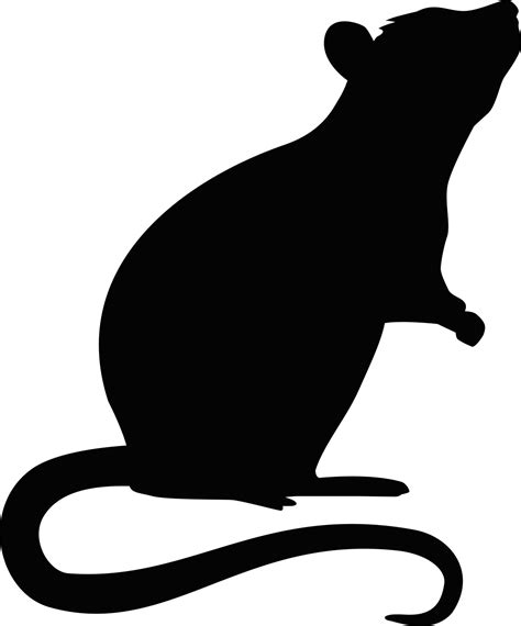 Rat Mouse Rodent Rat Png Download 12001444 Free Transparent Rat
