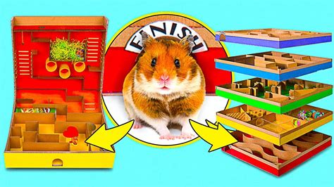 2 Diy Hamster Mazes 5 Level Maze And Pringles Can Maze For Active