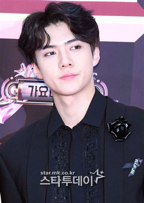 Exo ideal type, exo facts exo (엑소) currently consists of 9 members: 엑소 세훈 SNS 의미심장 글…팬들 격려 속 확대해석 말길
