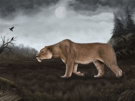 Cave Lion By Mihin89 On Deviantart