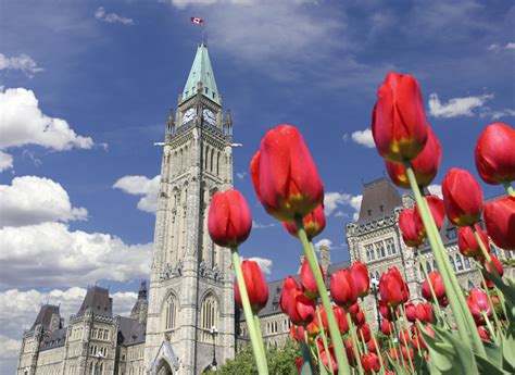 It will take you ages. Happy Canada Day!