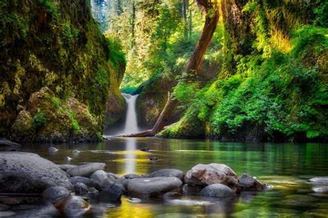 Photo Punchbowl Falls Columbia River Gorge National Scenic Area Oregon