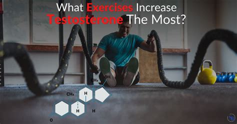 2024 What Exercises Increase Testosterone The Most