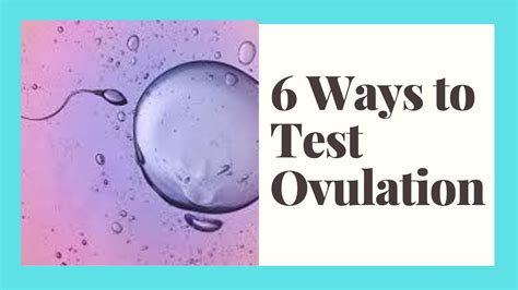 6 Ways To Test For Ovulation How To Track Your Fertility Window What Days Can You Get