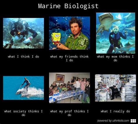 Marine Biology Quotes Marine Meme Uthinkido Com What People