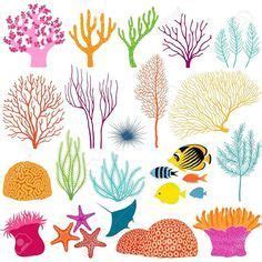 Die gattung wiederum ist namensgebend für die familie der wolfsmilchgewächse (euphorbiaceae). coral reef stencils - Google Search | Koralle kunst, Fisch ...