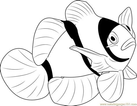 Painting fish coloring page, a kid learns the water world and get acquainted with various fishes. Clown Water Fish Coloring Page - Free Other Fish Coloring ...