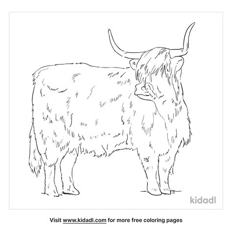 Free Highland Cattle Coloring Page Coloring Page Printables Kidadl