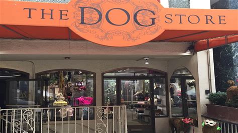 The Dog Store Taste Of Reality