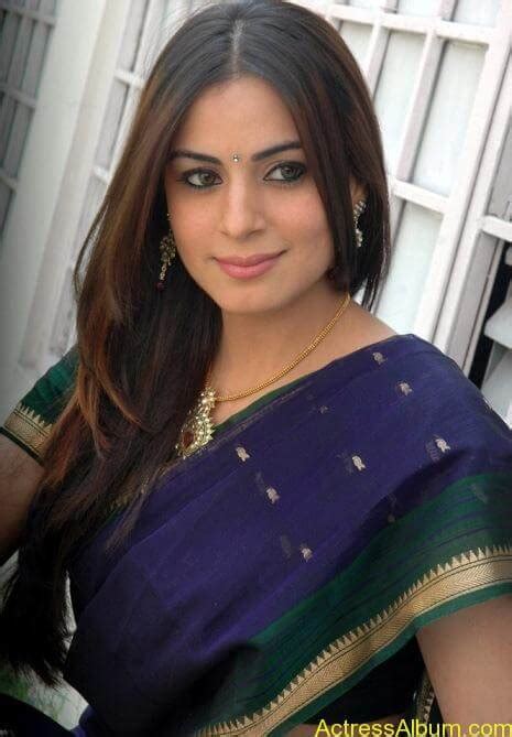 Shraddha Arya Hot Stills In Blue Saree Actress Album