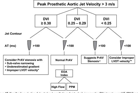 Figure 4 From Recommendations For Evaluation Of Prosthetic Valves With