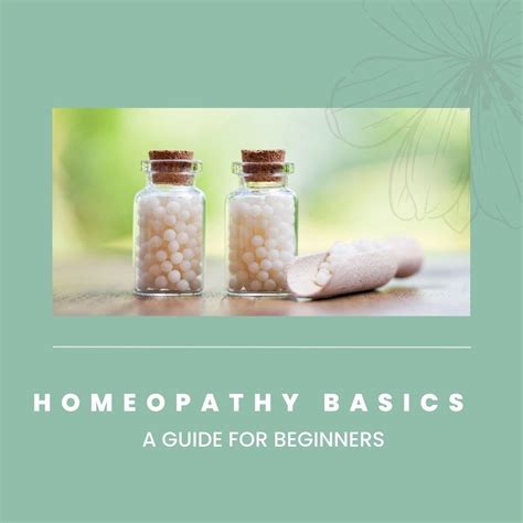 Homeopathy Basics — Lauren Reza