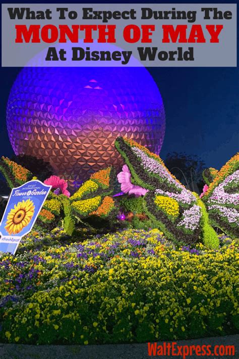 What To Expect In Disney World During The Month Of May