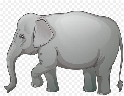 Elefante Africano Elefantes Elefante Indiano png transparente grátis