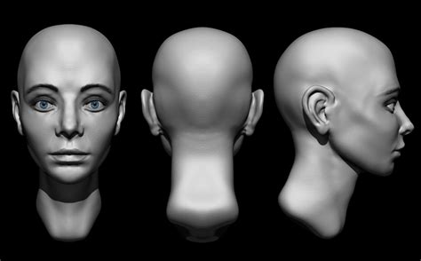 Fares Guettoch Human Head Anatomy Studies