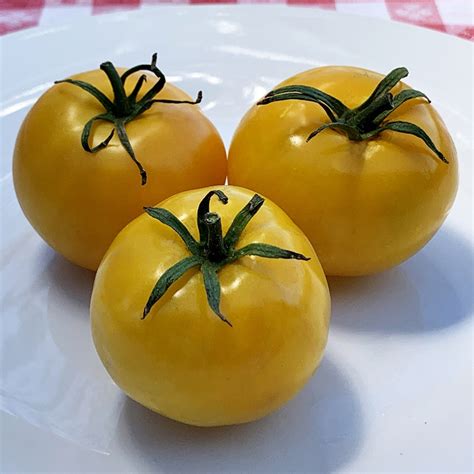 Taxi Organic Tomato Seeds Tomatofest