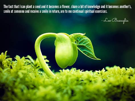 Planting Seeds Of Knowledge Quotes Quotesgram